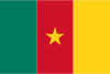 Cameroon certstopics